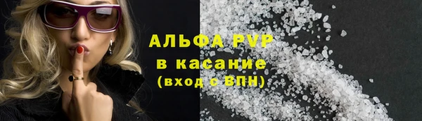 стаф Алексин