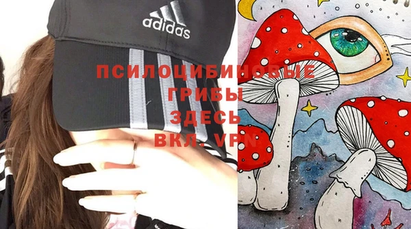 ALPHA PVP Алзамай
