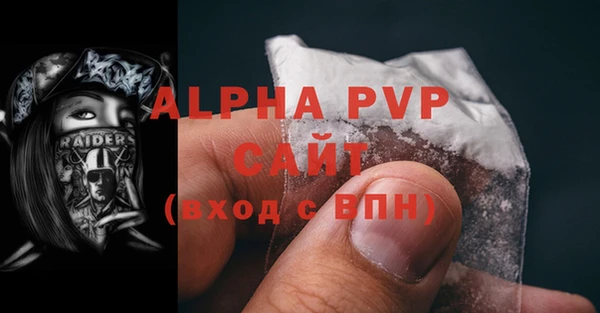 стаф Алексин