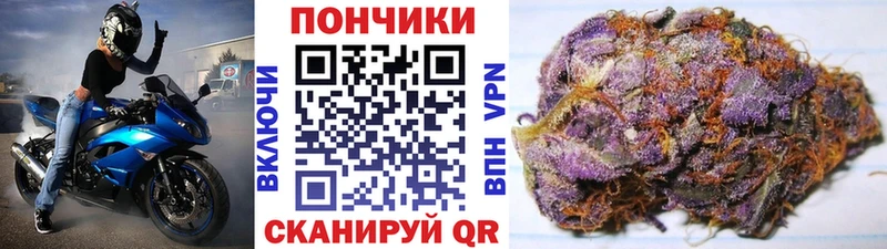 Каннабис сатива  Мантурово 